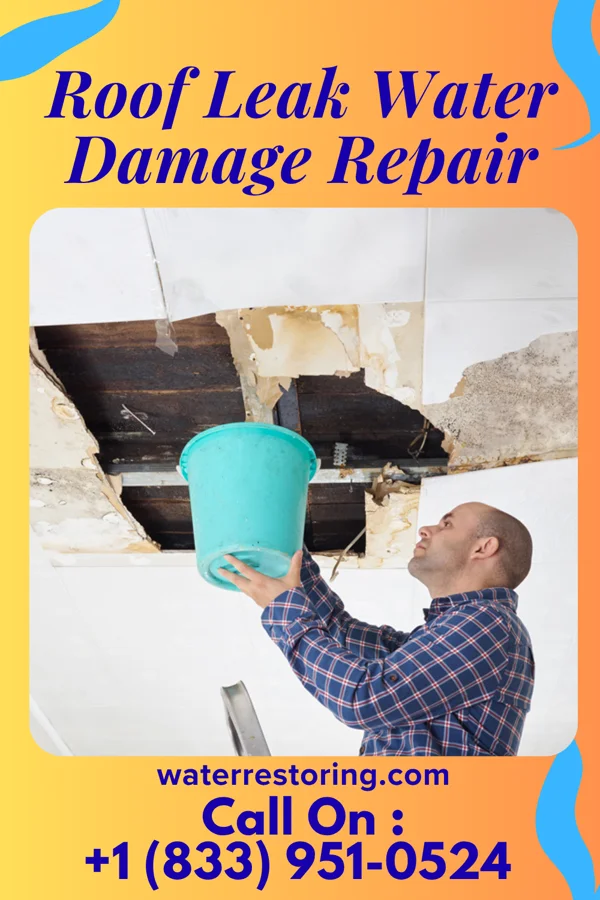 Roof Leak Water Damage Repair in Alpine, TX